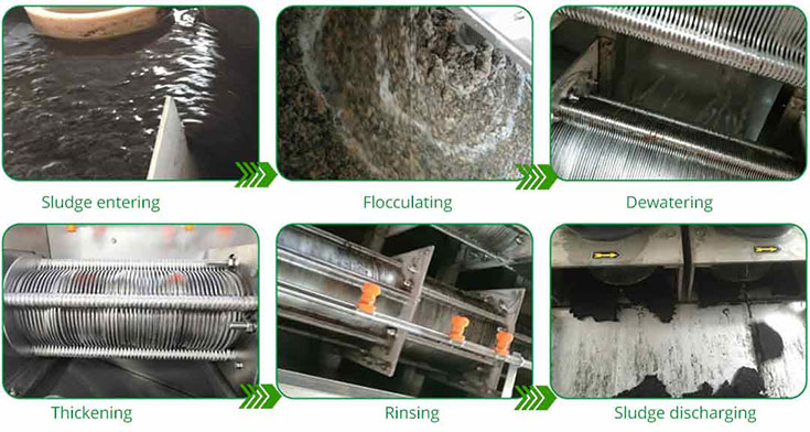 Multi Disc Screw Press workflow