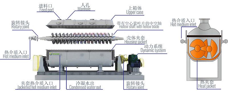 Hollow Paddle Dryer Structure